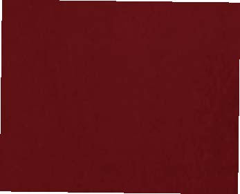 Velvet Slim Fit Tuxedo Jacket Red